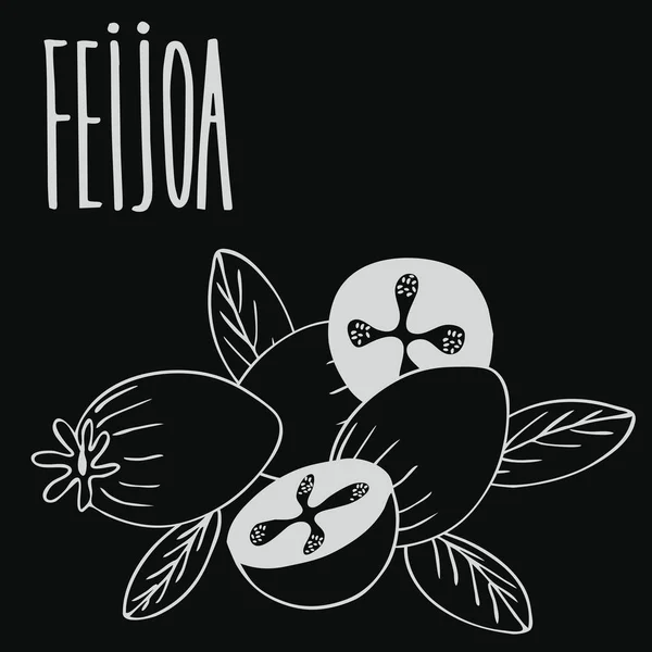 Tablica owoce guawy lub feijoa — Wektor stockowy