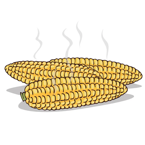 Izolátum főtt kukorica fülek a steam — Stock Vector