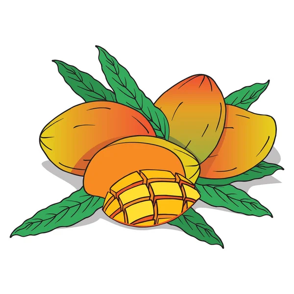 Isolera mogen mango frukt — Stock vektor