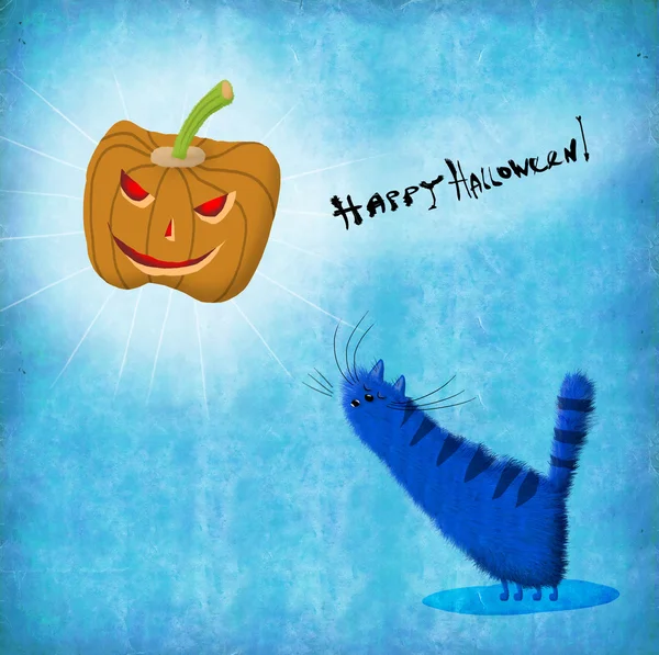 Halloween Card Gato uivando na abóbora da lua — Fotografia de Stock