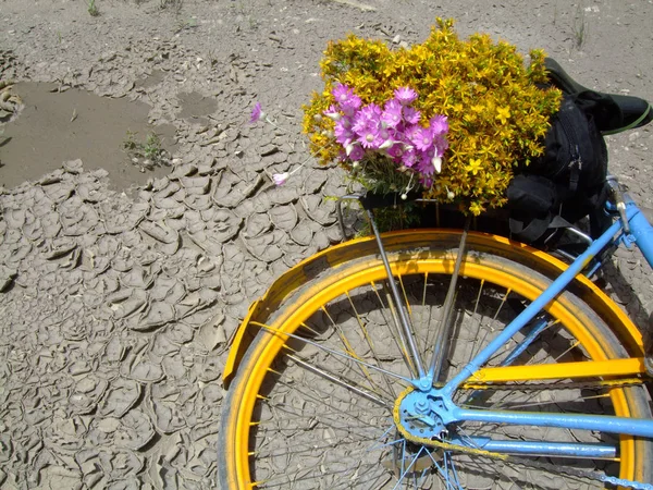 Vélo jaune avec des fleurs sur support sur terre gercée — Photo