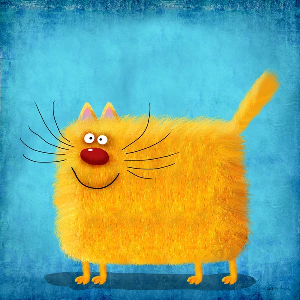 Yellow Fluffy Cat On Gradient Blue Background — Stock Photo, Image