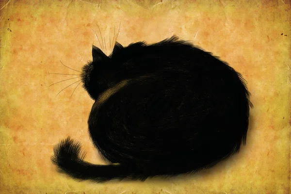 O gato macio preto enrolado acima em uma esfera — Fotografia de Stock