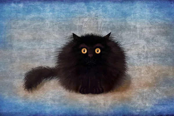 Пухнастий чорний божевільний кошеня на синьому фоні — стокове фото