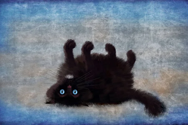 Kara kedi degrade mavi arka plan sırtında yatarken — Stok fotoğraf