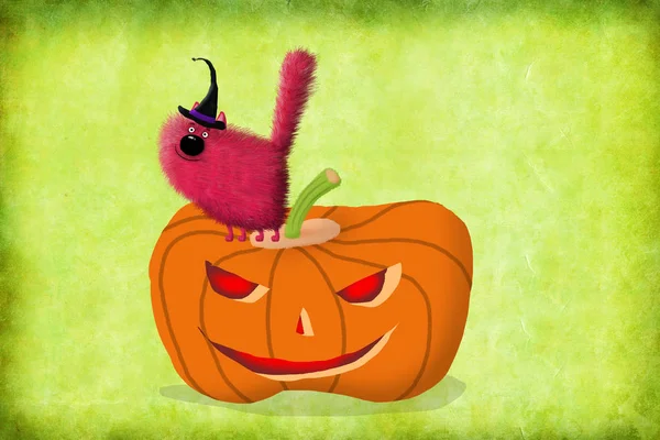 Halloween katt med häxa hatt står på pumpa — Stockfoto