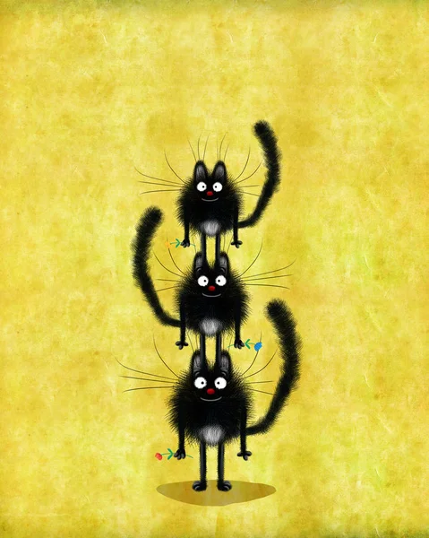 Schwarze lustige Katzen machen Pyramide — Stockfoto