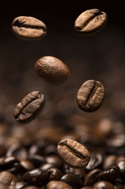 kahve çekirdekleri ile odak bir closeup