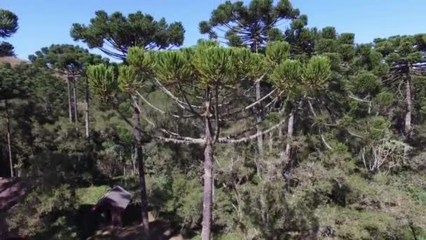 Letecký pohled na město Campos do Jordao. Významné turistické lokality. Říjen, 2016. — Stock video