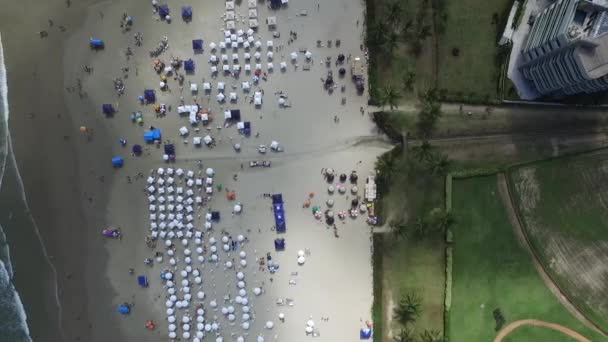 Vista aérea de las playas de la costa norte en el estado de Sao Paulo en Brasil. Riviera St. Lawrence. Noviembre 2016 . — Vídeos de Stock