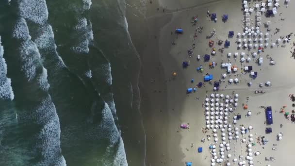 브라질에서 상파울로의 상태에서 노스 코스트 해변의 공중 전망. 리비에 라 세인트로 오 렌 스 2016 년 11 월. — 비디오