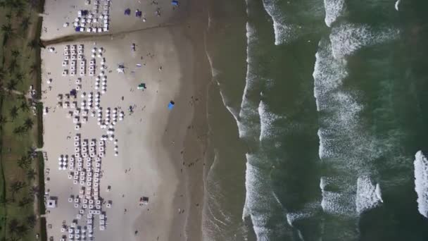Вид с воздуха на пляжи северного побережья в штате Сан-Паулу в Бразилии. Ривьера Святого Лаврентия. Ноябрь 2016 . — стоковое видео