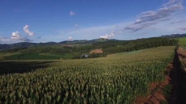 Hava uçuş Mısır alanın üzerinde. Brezilya.