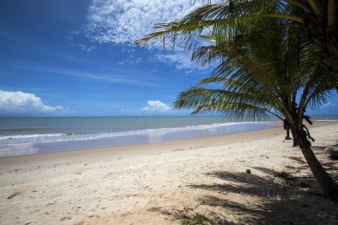 Brezilyalı plaj sahil, Barra'da güneşli bir günde yapmak Cahy, Bahia, Br