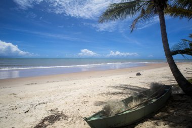 Brezilyalı plaj sahil, Barra'da güneşli bir günde yapmak Cahy, Bahia, Br