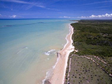 Hava güneşli bir günde bir Brezilyalı plaj sahil yeşil denizde görüntülemek 