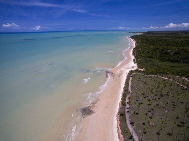 Hava güneşli bir günde bir Brezilyalı plaj sahil yeşil denizde görüntülemek 