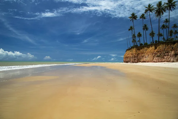 Falesias in Barra do Cahy Beach, Bahia, Brazil. february, 2017. — Stock Photo, Image