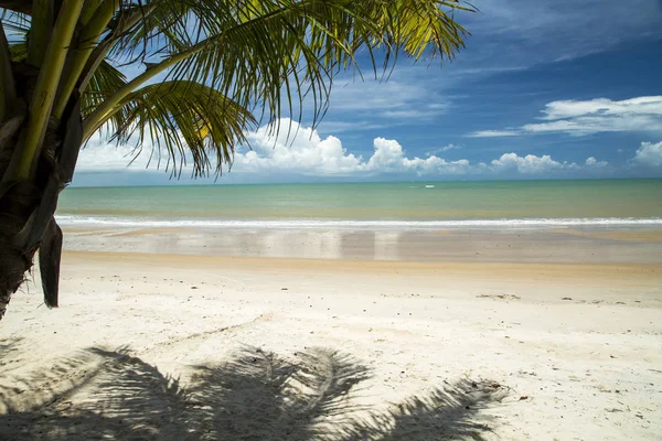 Brazil strand partján, egy napsütéses napon a Barra do Cahy, Bahia, Br — Stock Fotó