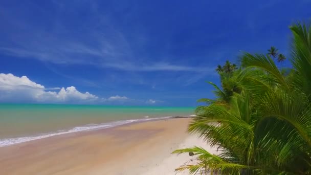Vista aérea na praia da Barra do Cahy, Costa Descoberta na Bahia Brasil. Fevereiro, 2017 . — Vídeo de Stock