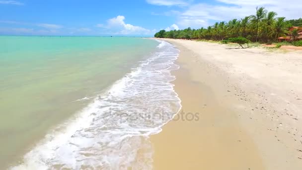 Flygfoto gröna havet vid brasilianska beach kusten solig dag. Cumuruxatiba stad, Bahia, Brasilien. Februari 2017. — Stockvideo