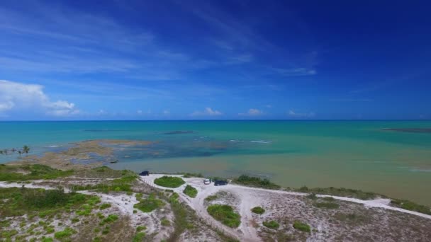 Aerial view Green sea at brazilian beach coast on sunny day in Moreira's beach, Bahia, Brazil. February, 2017. — Stock Video