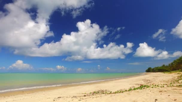 Vista aérea mar verde na costa da praia brasileira no dia ensolarado. Cumuruxatiba, Bahia, Brasil. Fevereiro, 2017 . — Vídeo de Stock