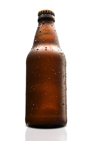 Marrón mojado Botella de cerveza aislada sobre fondo blanco —  Fotos de Stock