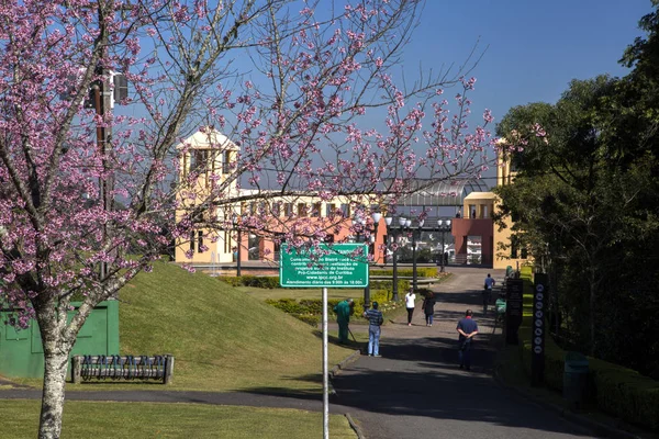 Tangua Park. Curitiba, Parana/Brezilya. Temmuz, 2017.