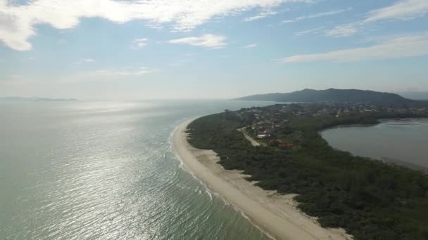 Vista aérea de la playa Daniela, Florianópolis. julio, 2017 — Vídeo de stock