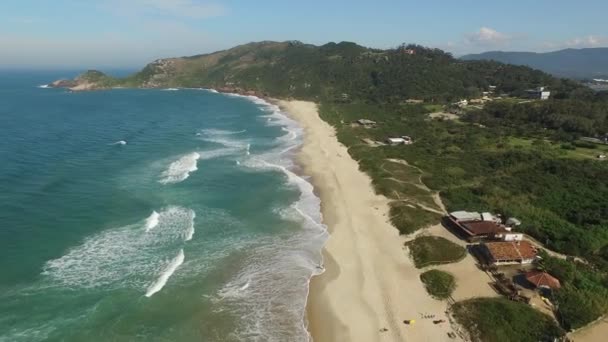 Havadan görünümü köstebek beach, Florianopolis, Brezilya. Temmuz, 2017 — Stok video
