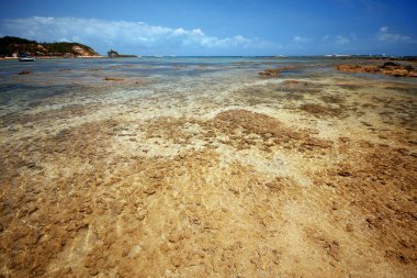 Doğal Yüzme Havuzu cennette Morro de Sao Paulo, Salvador, Brezilya