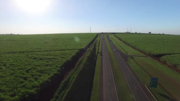 Luchtfoto suikerriet veld in snelweg Alexandre Balbo in Ribeirao Preto, Brazilië. — Stockvideo
