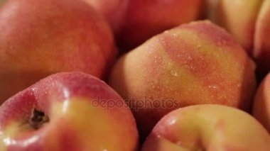 Tatlı taze kuru soğan dolly-shot eski ahşap üzerinde doğal ışık 