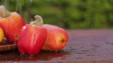 Eski ahşap tatlı taze kaju meyve rotasyon 