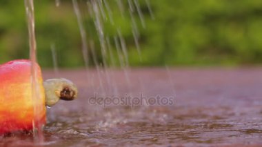Eski ahşap tatlı taze kaju meyve rotasyon 
