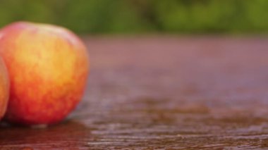 Tatlı taze kuru soğan dolly-shot eski ahşap üzerinde doğal ışık 