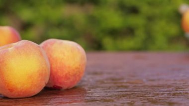 Tatlı taze kuru soğan dolly-shot eski ahşap üzerinde doğal ışık 