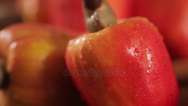 Süße Frische Cashewfrüchte Auf Altem Holz — Stockvideo