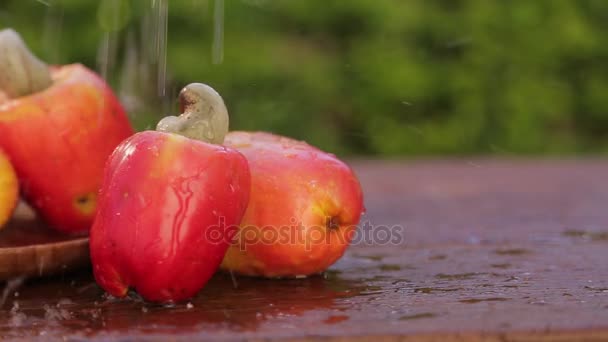 Rotation Des Noix Cajou Fraîches Sucrées Sur Vieux Bois — Video