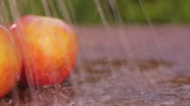 Tatlı taze kuru soğan dolly-shot eski ahşap üzerinde doğal ışık 