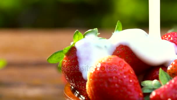 Chantilly Falling Slow Motion Strawberry — Stock Video