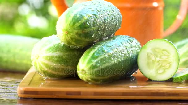 Groene Komkommers Houten Snijplank Wordt Besproeid Met Water Super Slowmotion — Stockvideo