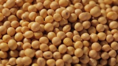 Soya fasulyesi kadar rotasyon kapatın. Seçici odak.