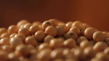 Soya fasulyesi kadar rotasyon kapatın. Seçici odak.