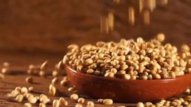 ağır çekimde düşmek fasulye