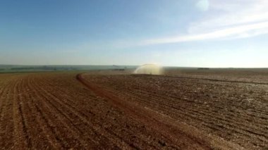 Şeker kamışı ekimi sulama.