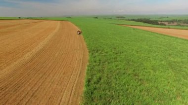 Agriliming bitkileri alanında iş alanında kamyoneti üstten görünüm üzerinde 