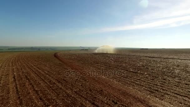 Irrigation Plantation Canne Sucre — Video
