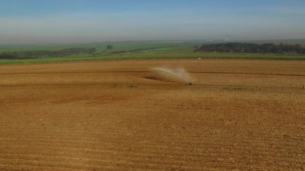 Riego Plantaciones Caña Azúcar — Vídeo de stock